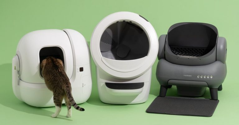 The 3 Best Automatic Cat Litter Boxes of 2025