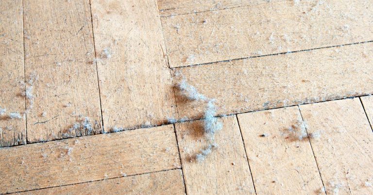 What Is Dust Even Made Of? (And How to Manage It)