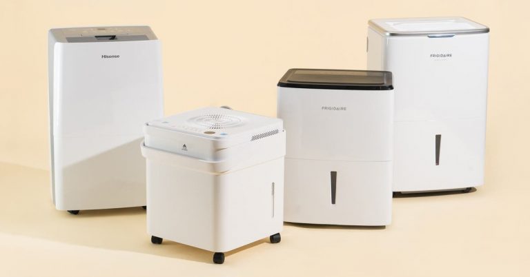 The 3 Best Dehumidifiers of 2025