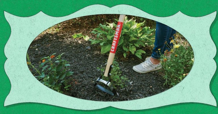 This $28 Garden Tool Cut My Weeding Time in Half