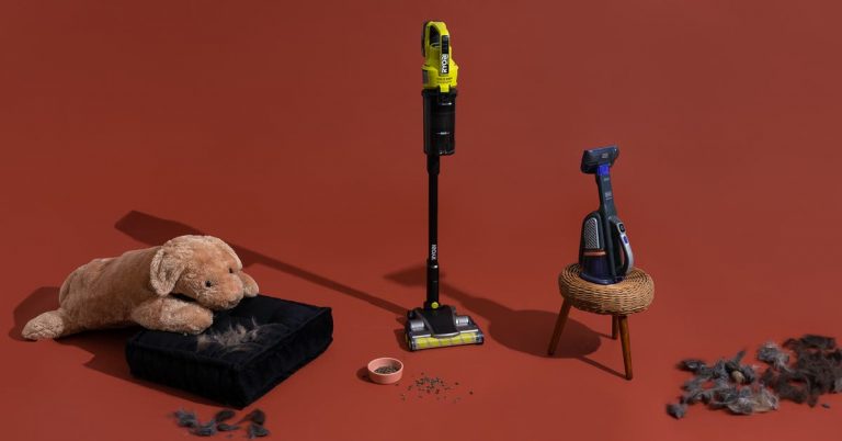 What’s the Best Vacuum for Pet Hair?