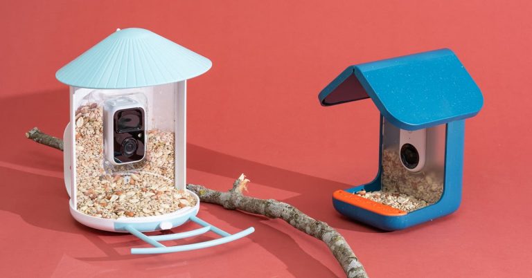 The 2 Best Smart Bird Feeders of 2025