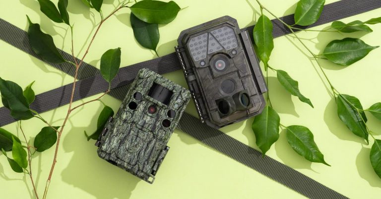 The 3 Best Trail Cameras of 2025