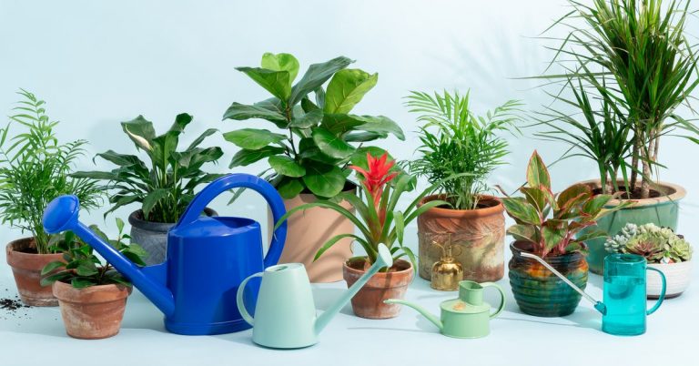 Our 7 Favorite Watering Cans of 2025
