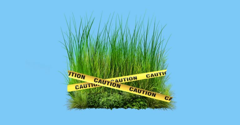 Tick Bites Are No Joke. Here’s How to Prevent Them and Protect Yourself.