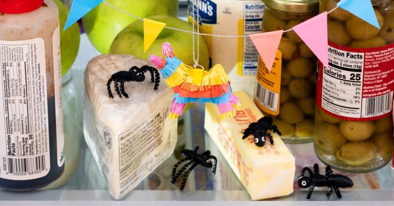 Ask Wirecutter: I’m So Grossed Out by Ants Invading My Home! Can You Help?