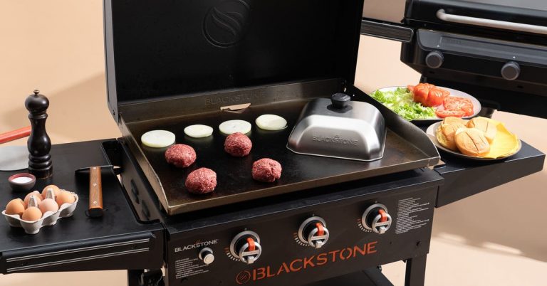 The 2 Best Outdoor Griddle of 2025
