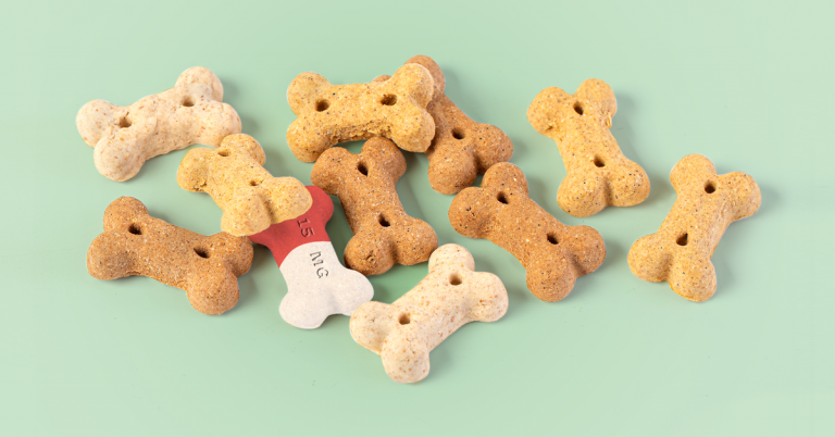 How to Give Pills to Cats, Dogs, and All of Your Other Pets