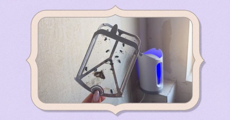 How the Zevo Flying Insect Trap Rid Me of My Fly Infestation