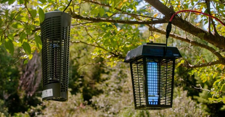 Do Bug Zappers Work? | Wirecutter