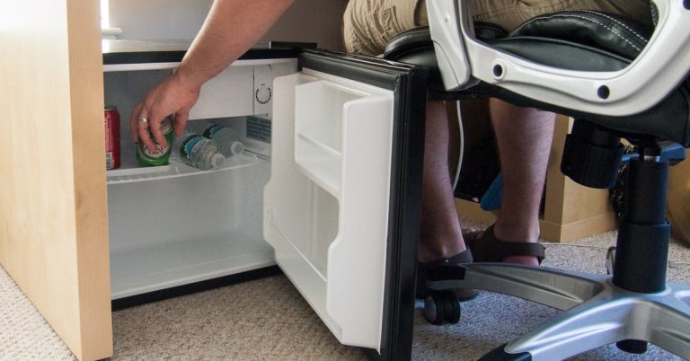 The Best Cheap Mini Fridge