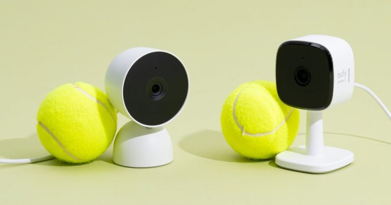 The 2 Best Pet Cameras of 2025