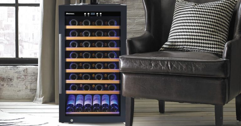 The 3 Best Wine Coolers and Fridges of 2025