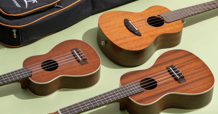 The 3 Best Ukuleles for Beginners of 2025