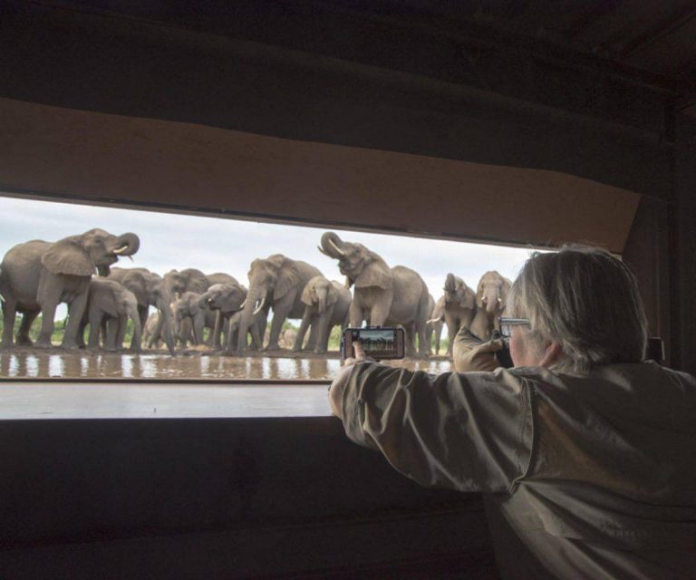 Africa’s fabulous photo hides and hotspots