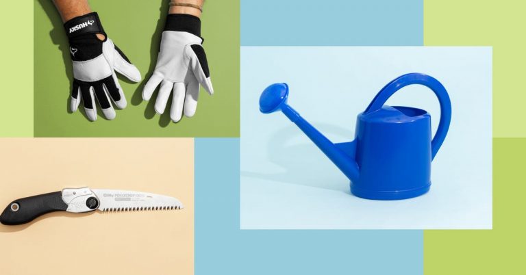 12 Essential Gardening Tools for Budding Gardeners