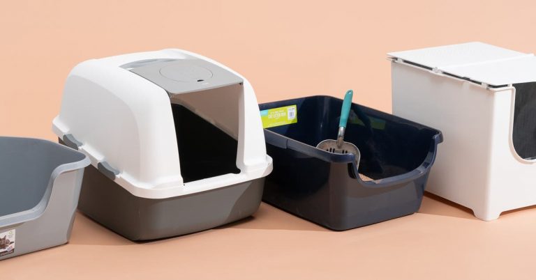 The 5 Best Cat Litter Boxes of 2025
