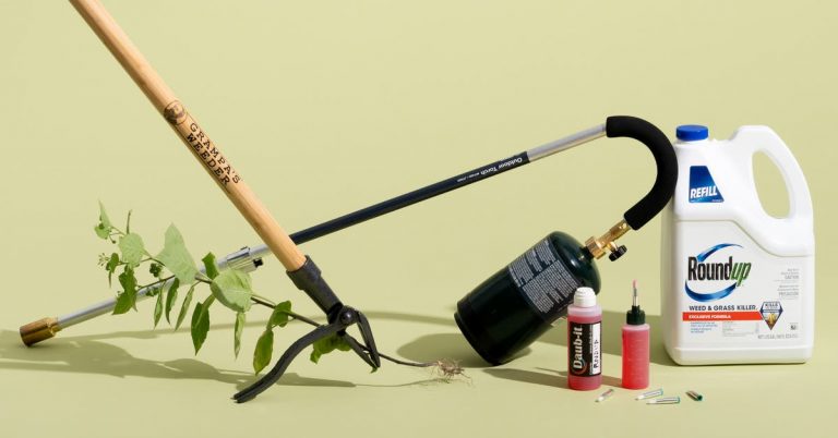 The 5 Best Weed Killers and Weeding Tools of 2025