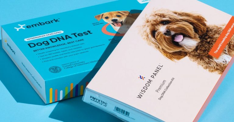 The 2 Best Dog DNA Tests of 2025