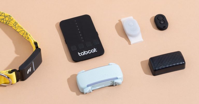 The 4 Best GPS Dog Collars and Pet Trackers of 2025