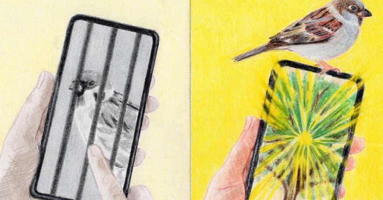 How to Use Your Phone to Make Life Better