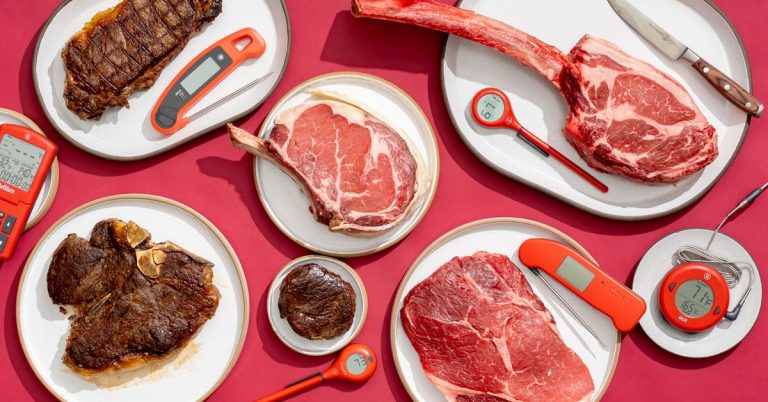 The 6 Best Meat Thermometers for 2025