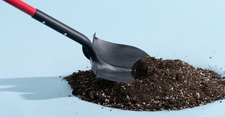 The 4 Best Shovels of 2025