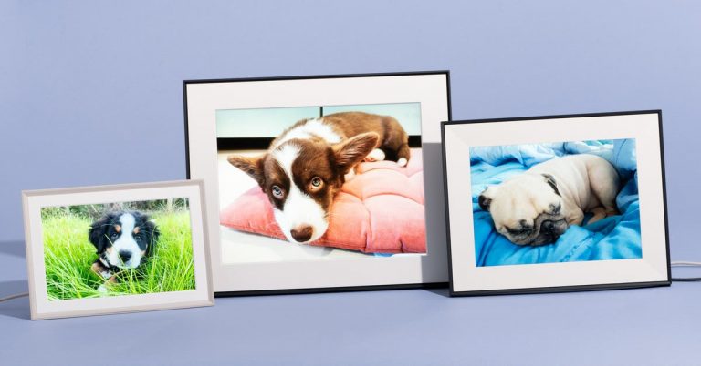 The 3 Best Digital Photo Frames of 2025