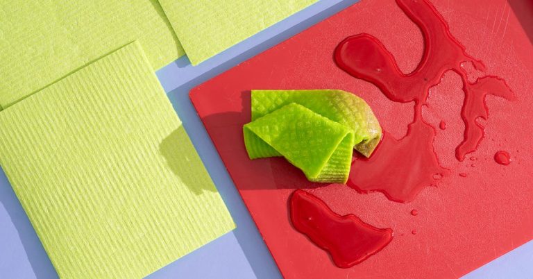 The Best Swedish Dishcloth of 2025