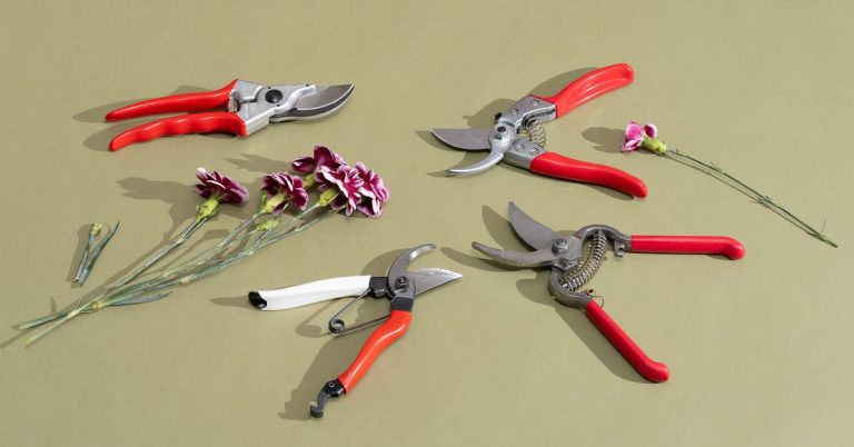 The 3 Best Garden Pruners of 2025