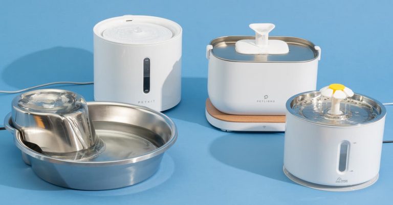 The 4 Best Water Fountains for Cats and Dogs of 2025