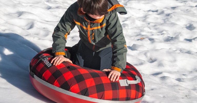 The 5 Best Sleds of 2025