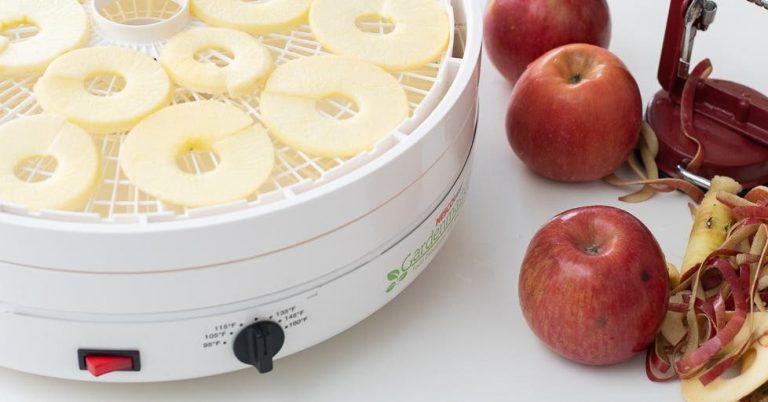 The Best Food Dehydrator | Reviews by Wirecutter