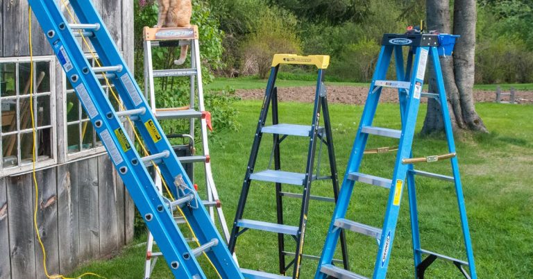 The 6 Best Ladders of 2025